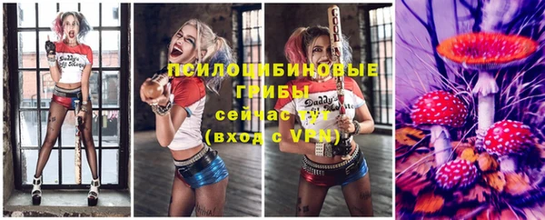 таблы Алексин