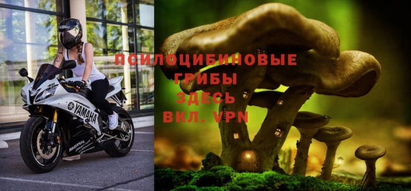 таблы Алексин