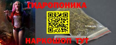 твердый Новозыбков