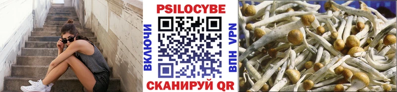 Псилоцибиновые грибы ЛСД  Сыктывкар 