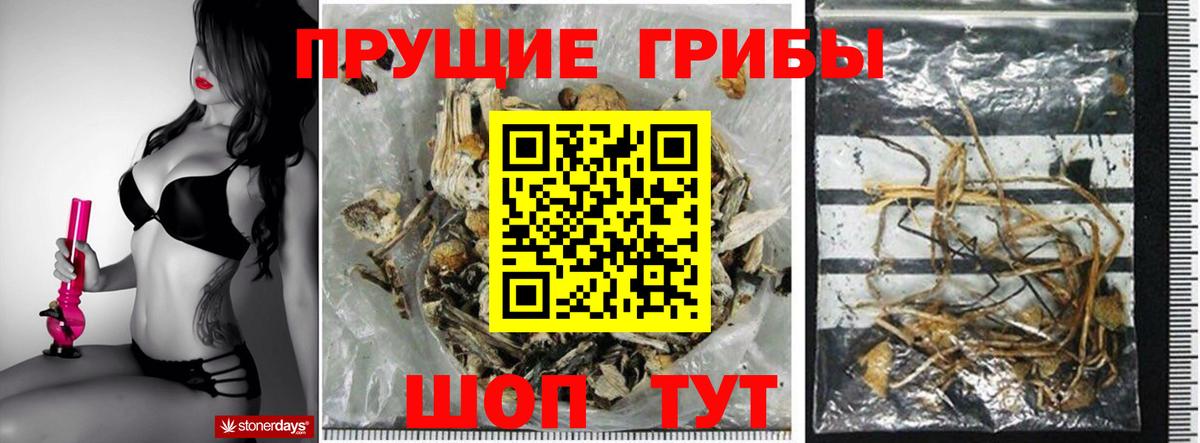 Галлюциногенные грибы Psilocybe  купить наркоту  Сыктывкар  Вход с VPN 