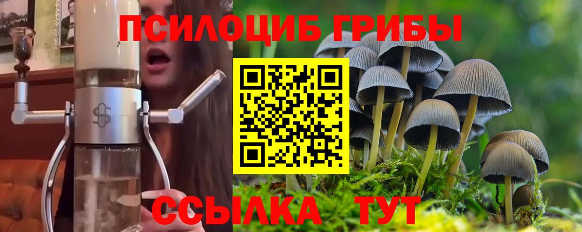 Псилоцибиновые грибы ЛСД Сыктывкар
